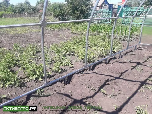 Фундамент для теплицы из свай Фундамент для теплицы из свай